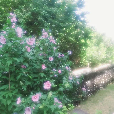 Apartament Saint Nicholas Lovely 2 Bedroom With Sunny Garden *